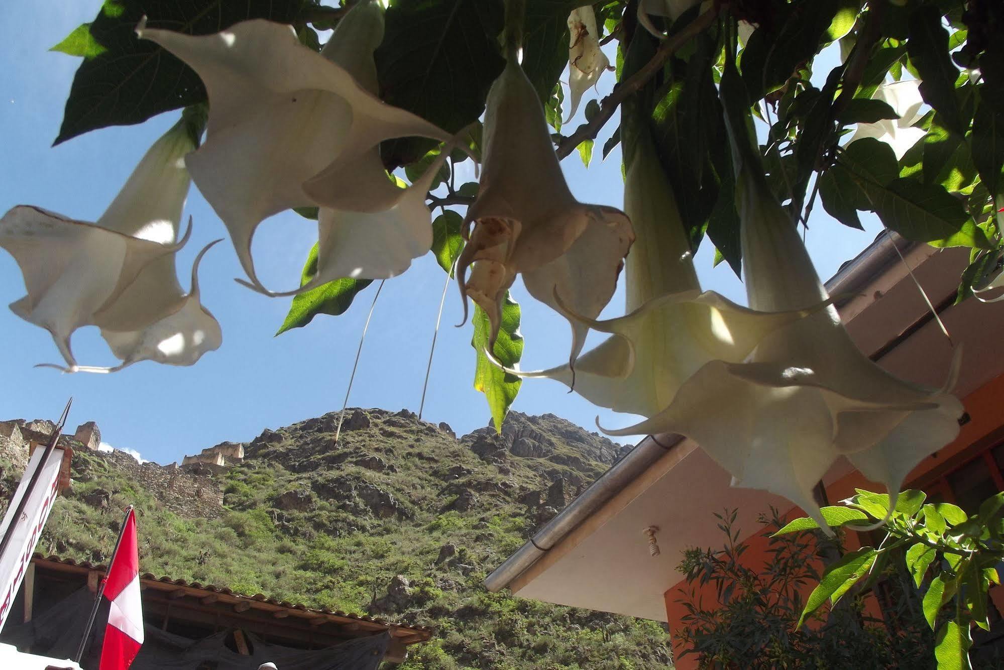 Casa de hóspedes Portadas Ollantaytambo